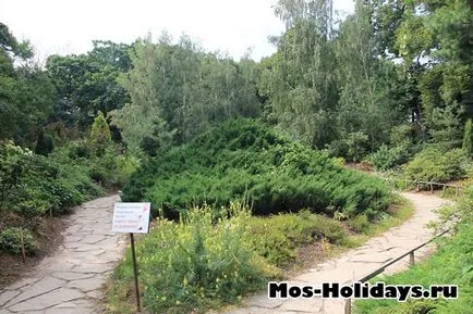 Apothecary Garden - Ботаническата градина на Московския държавен университет по адрес булевард на света, къде, как да стигнем до там,