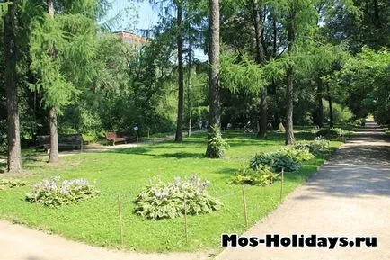 Apothecary Garden - Ботаническата градина на Московския държавен университет по адрес булевард на света, къде, как да стигнем до там,