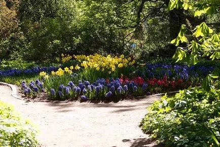 Farmaceutic Gradina Botanica Gradina de la Universitatea de Stat din Moscova cu privire la perspectiva păcii