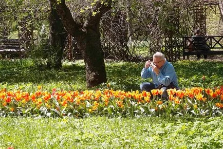 Фармацевтична градина Ботаническата градина на Московския държавен университет на перспективата за мир