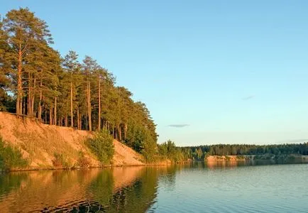 Béreljen part és az erdők állapota és jellemzői