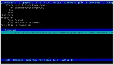 Blog de lucru novice administrator de sistem pe debian fără GUI