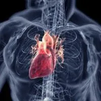 Boli ale inimii omului și cum să le trateze