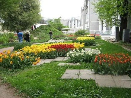 Grădina Botanică din Moscova, Universitatea de Stat „Apothecary Garden“, București