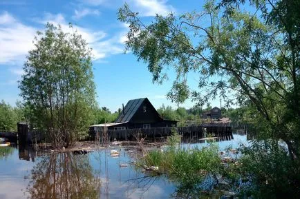 Какво става, ако предградията наводнен