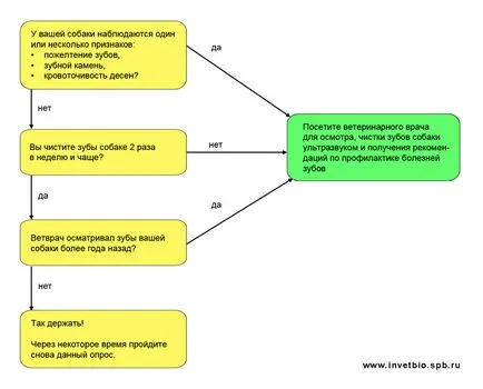 Миенето на зъбите при кучетата, ако се почистват кучета зъби; как да се чисти зъбите на куче, Институт по ветеринарна