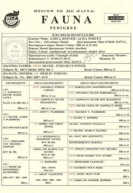 Документи по договор за продажба на котенца, родословие, ветеринарен сертификат