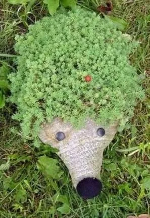 Hedgehog műanyag palackok a kertben 7 fotók