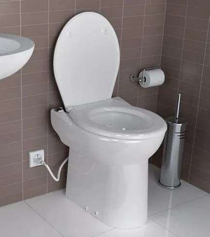 Motopompă cu tocător WC WC de canalizare, instalare, pret
