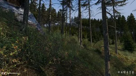 Бъдещата подобряване на растителността в Dayz АД - блогове - Блогове геймъри, геймърски блогове, създаване на блог,