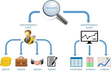 Contul individual de investiții (IMS)