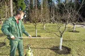 Как и какво да се пръска градински инструменти през есента за есента обработването на овощни дървета, съвети от опитни