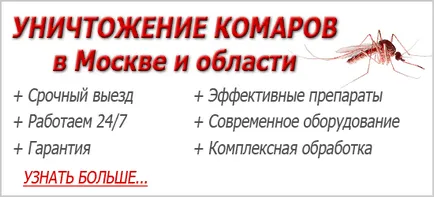 Cum să scapi de țânțari în apartament și pe stradă - Top cele mai bune instrumente