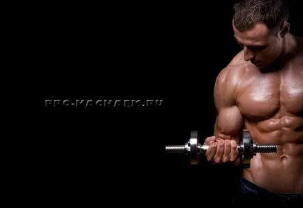 Cum de a construi biceps - pro-Kach - bodybuilding pentru incepatori