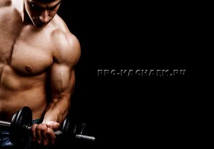 Cum de a construi biceps - pro-Kach - bodybuilding pentru incepatori