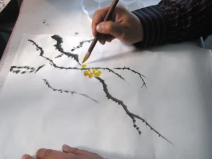 Cum de a desena o ramură de iasomie înflorește în etape