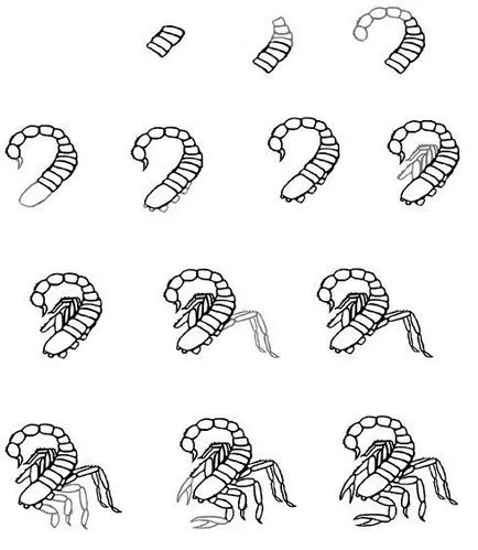 Hogyan kell felhívni skorpió