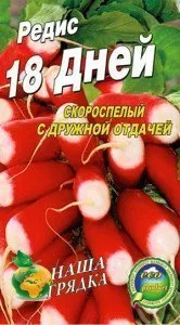 Как да получите семена на репички, както и правото да ги задържи