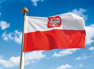 Как да се получи полският гражданство на украинците и Bolgariyan
