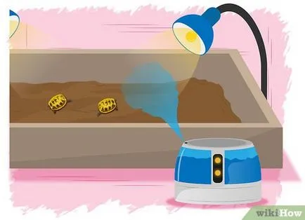 Cum de a construi o incintă pentru țestoase