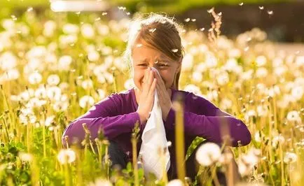 Cum de a preveni alergii la copil