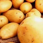Как Ridger за картофи с ръцете си стъпка по стъпка препоръки