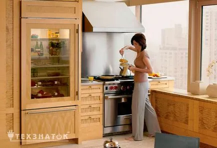 Hogyan válasszuk ki a beépített hűtőszekrény