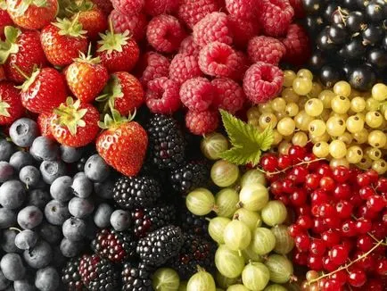 Hogyan kell elkészíteni gyümölcsök és bogyók cukor nélkül