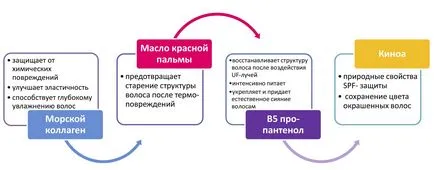 Колагенът възстановяване на коса прави преглед как процедурата