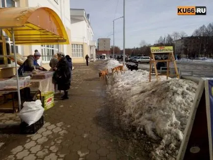 Compania din Chelyabinsk, a câștigat concursul pentru a prinde animalele fără stăpân din Kamensk-Uralsky, prinde