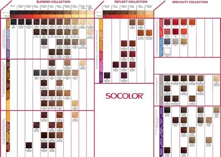 Paleta de colorare a părului matrice de culori, culoarea părului culoarea părului la modă, de îngrijire a părului, nuanțe