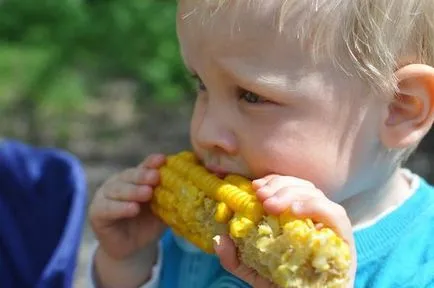 Corn - ültetési és ápolása kukorica