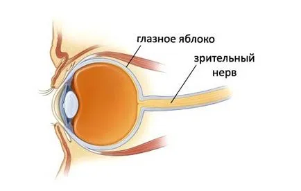 Tratamentul de atrofie a nervului optic pentru a îmbunătăți alimentarea cu sânge