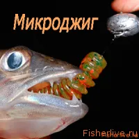 Prinderea pe mikrodzhig pentru incepatori, sfaturi pescari