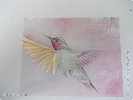 Modellezése hummingbirds sóból tésztából