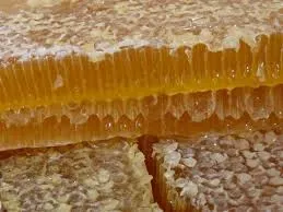 Méz pancreatitis haszon, kár, és hogyan kell helyesen használni