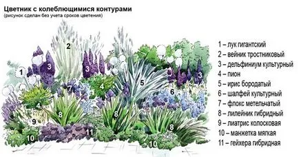 Mixbordere în schema de design peisaj fotografie