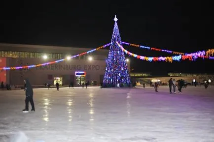 Международен изложбен център 