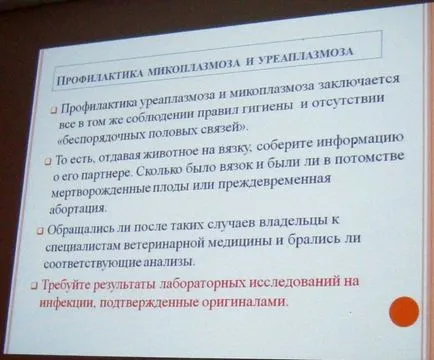 Микоплазмоза и ureaplasmosis кучета и котки