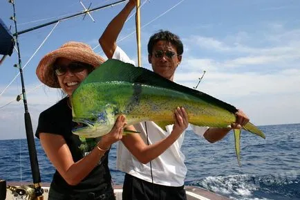 Tengeri halászat Phuket októbertől áprilisig, fogása fekete marlin