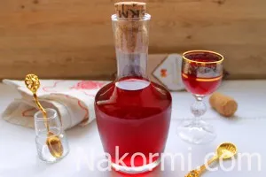 Hogyan készítsünk áfonya likőr otthon recept egy fotó