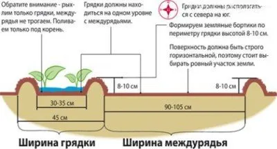 Cum sa faci un pat pentru mitlayderu despre paturi mitlayderovskie înguste