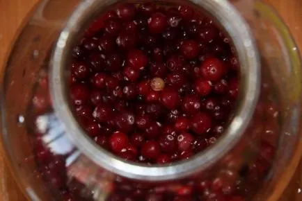 Infuzia de afine vodca face la domiciliu o băutură delicioasă