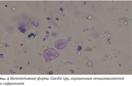 Нова възможност за борба с Глардиаза хищници