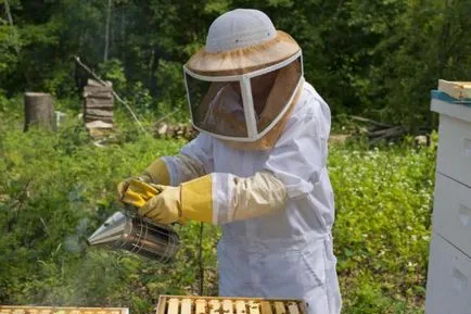 Обработка на пчелите срещу акари оксалова киселина