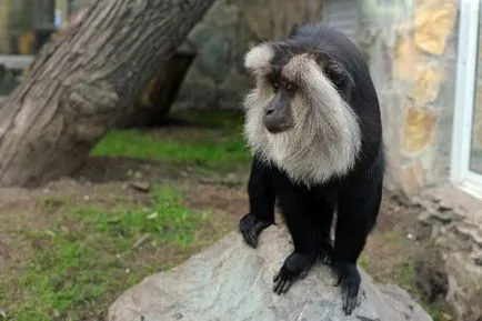 Nu avem nevoie de grădini zoologice