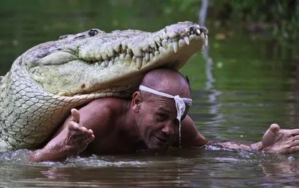 Pocho és Chito „történelem az emberi barátság és krokodil