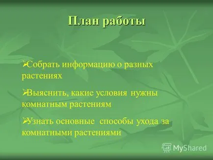 Презентация на тема цветя, хората, за добро щедър, нежна и щедро дава на хората, те цъфтят,