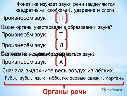 Представяне на фонетиката проучвания речеви звуци (маркирани в квадратни скоби), стрес и срички