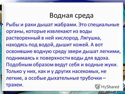 Представяне на три местообитания на водните местообитания